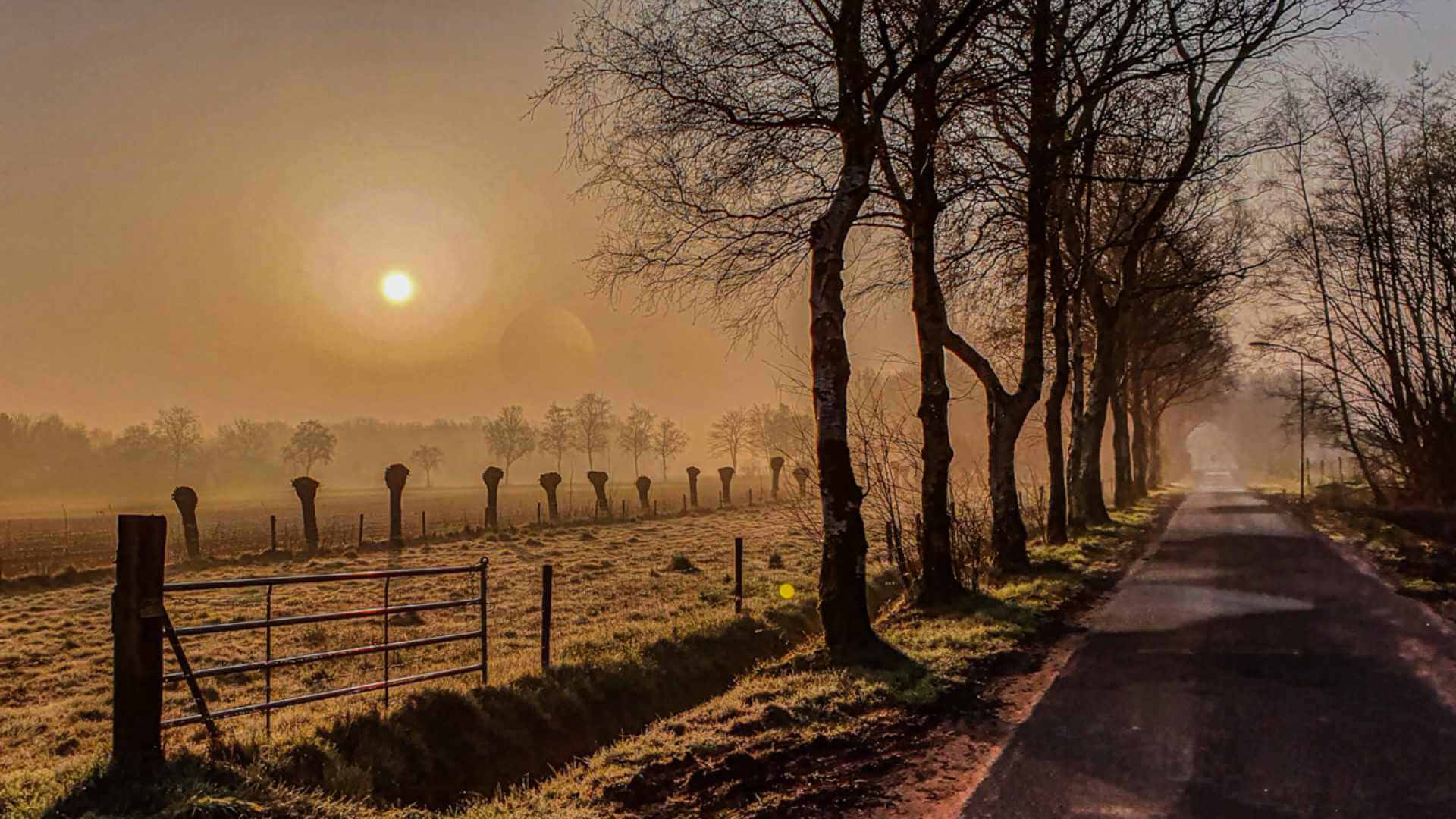 Foto van vakantiehuis de Fazantenhof