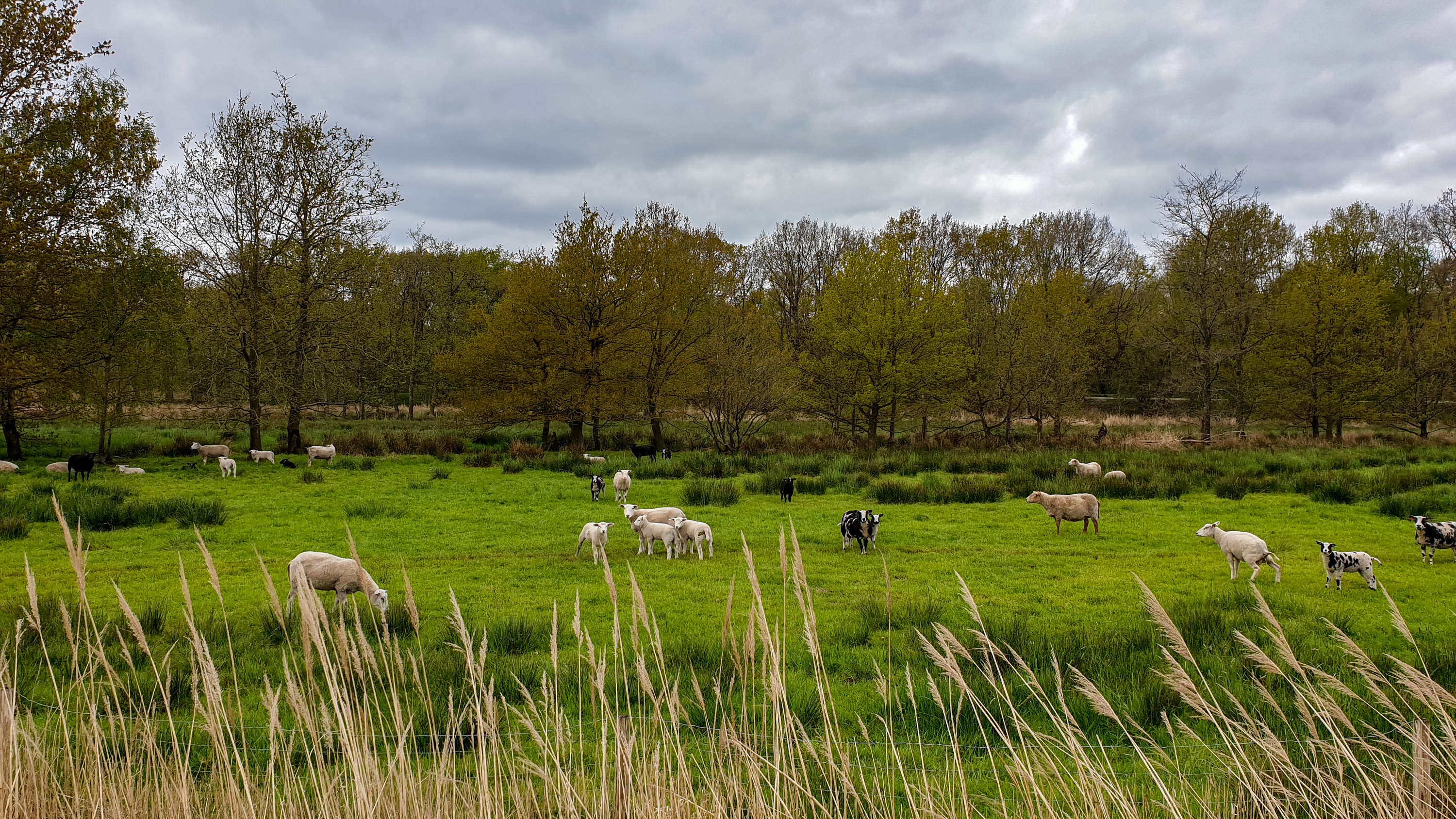 Foto van vakantiehuis de Fazantenhof
