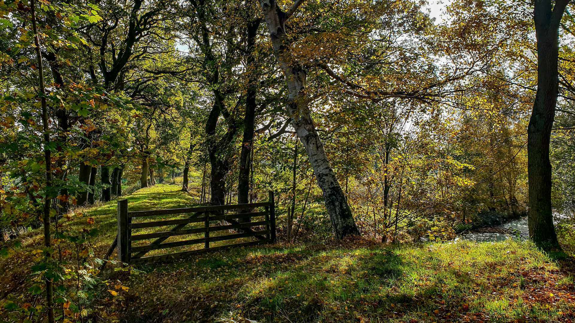 Foto van vakantiehuis de Fazantenhof