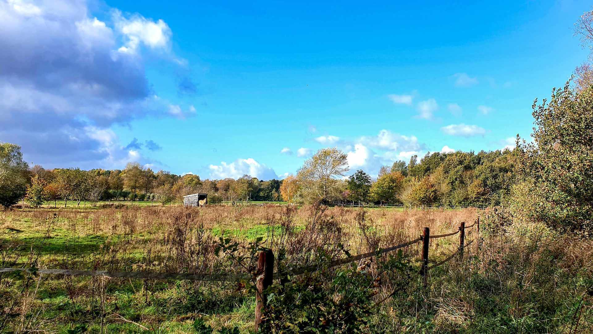 Foto van vakantiehuis de Fazantenhof