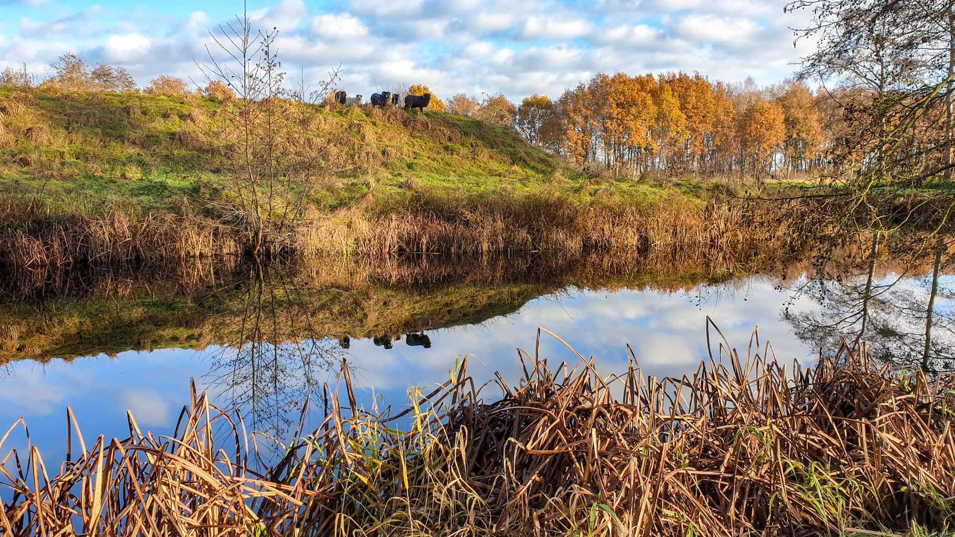 Foto van vakantiehuis de Fazantenhof